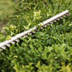 close-up-trimming-tool-bush close-up-trimming-tool-bush