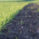 transition-grass-soil-agricultural-setting transition-grass-soil-agricultural-setting